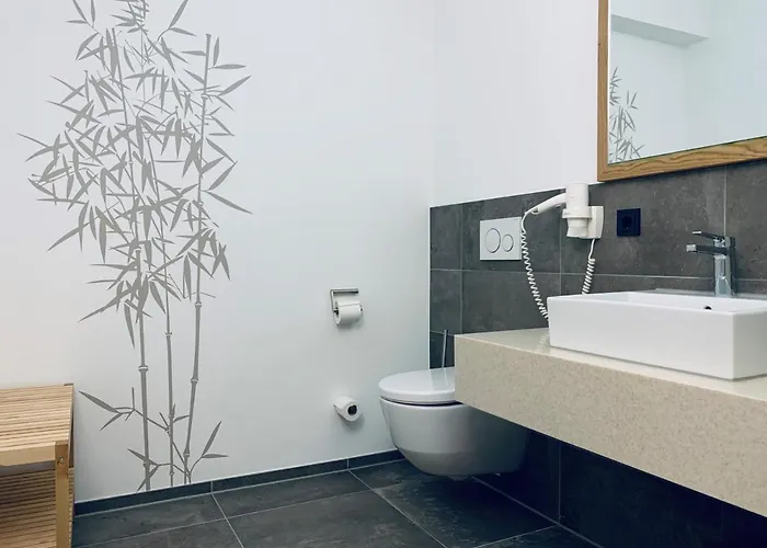 Stadthotel Kachelofen 3* クルムバハ