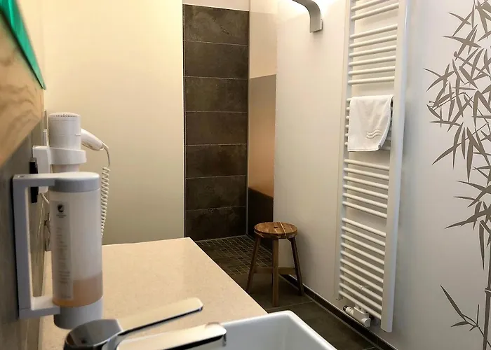 Stadthotel Kachelofen 3* クルムバハ